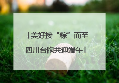 美好接“粽”而至 四川台胞共迎端午