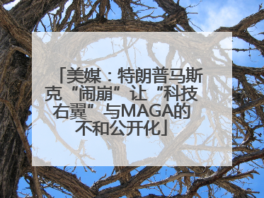 美媒：特朗普马斯克“闹崩”让“科技右翼”与MAGA的不和公开化
