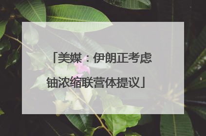 美媒：伊朗正考虑铀浓缩联营体提议