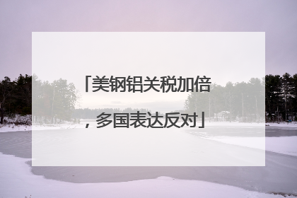 美钢铝关税加倍，多国表达反对