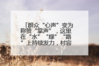 群众“心声”变为称赞“掌声”，这里在“水”“绿”“路”上持续发力，村容村貌焕然一新
