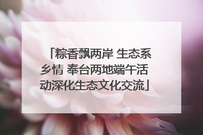 粽香飘两岸 生态系乡情 奉台两地端午活动深化生态文化交流