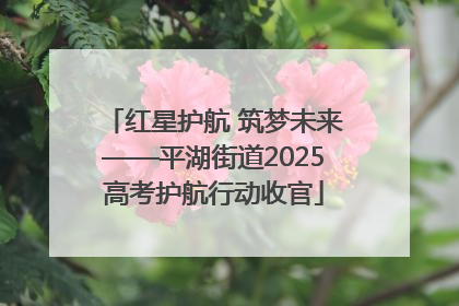红星护航 筑梦未来——平湖街道2025高考护航行动收官