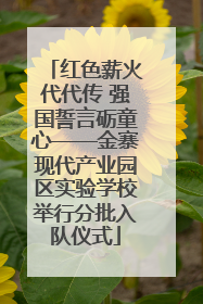 红色薪火代代传 强国誓言砺童心——金寨现代产业园区实验学校举行分批入队仪式