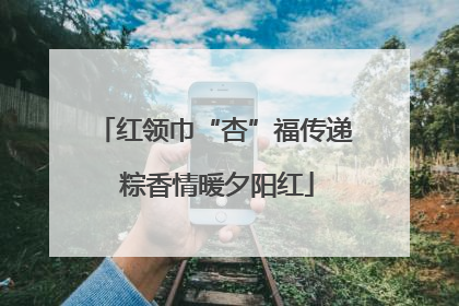 红领巾“杏”福传递 粽香情暖夕阳红