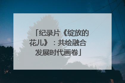 纪录片《绽放的花儿》：共绘融合发展时代画卷