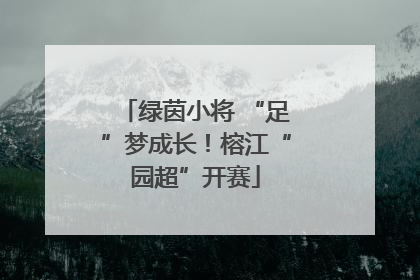绿茵小将 “足”梦成长！榕江“园超”开赛