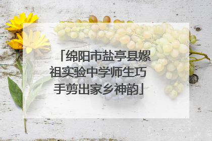 绵阳市盐亭县嫘祖实验中学师生巧手剪出家乡神韵