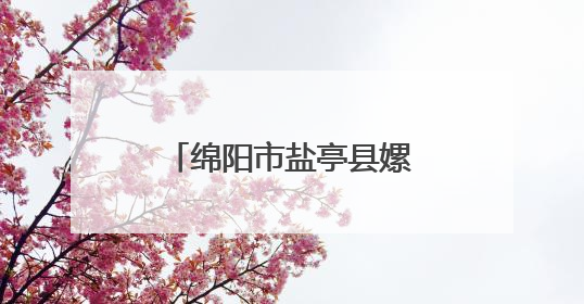 绵阳市盐亭县嫘祖镇中心小学召开期末复习动员会