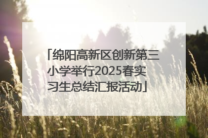 绵阳高新区创新第三小学举行2025春实习生总结汇报活动