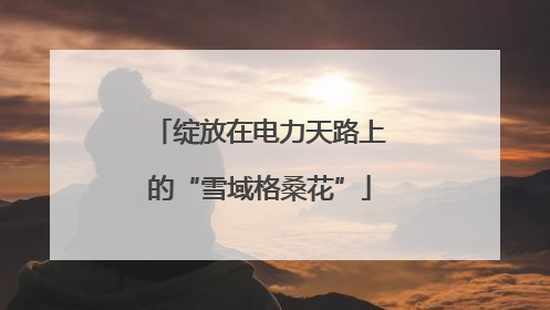 绽放在电力天路上的“雪域格桑花”