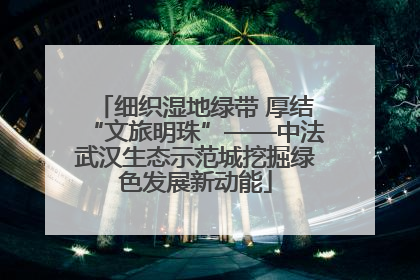 细织湿地绿带 厚结“文旅明珠”——中法武汉生态示范城挖掘绿色发展新动能