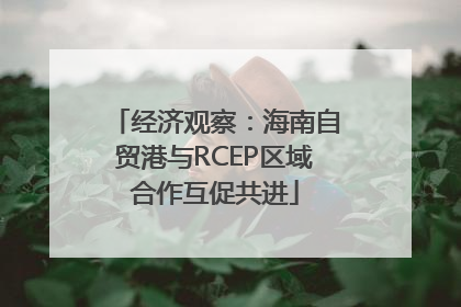 经济观察：海南自贸港与RCEP区域合作互促共进