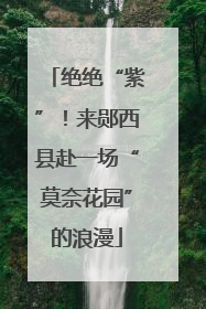 绝绝“紫”！来郧西县赴一场“莫奈花园”的浪漫