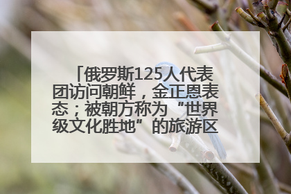 俄罗斯125人代表团访问朝鲜，金正恩表态；被朝方称为“世界级文化胜地”的旅游区，将首次接待俄游客