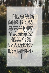 俄总统新闻秘书：待乌克兰回应备忘录草案 俄美乌领导人近期会晤可能性小