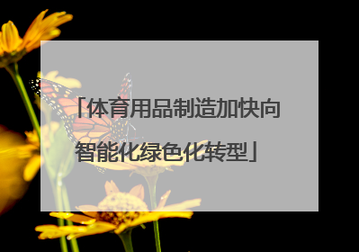 体育用品制造加快向智能化绿色化转型