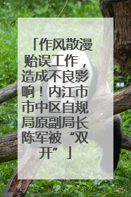 作风散漫贻误工作，造成不良影响！内江市市中区自规局原副局长陈军被“双开”