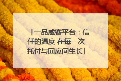一品威客平台：信任的温度 在每一次托付与回应间生长