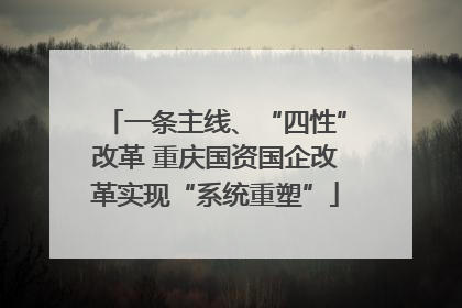 一条主线、“四性”改革 重庆国资国企改革实现“系统重塑”