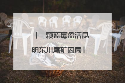 一颗蓝莓盘活昆明东川尾矿困局