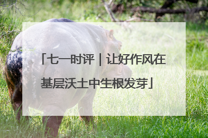 七一时评｜让好作风在基层沃土中生根发芽