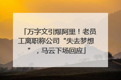 万字文引爆阿里！老员工离职称公司“失去梦想”，马云下场回应