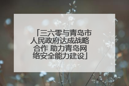 三六零与青岛市人民政府达成战略合作 助力青岛网络安全能力建设