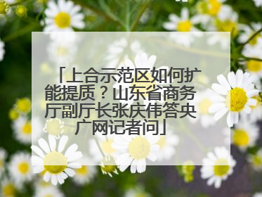 上合示范区如何扩能提质？山东省商务厅副厅长张庆伟答央广网记者问