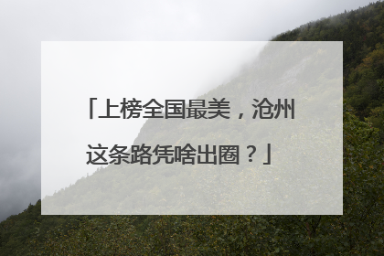 上榜全国最美，沧州这条路凭啥出圈？