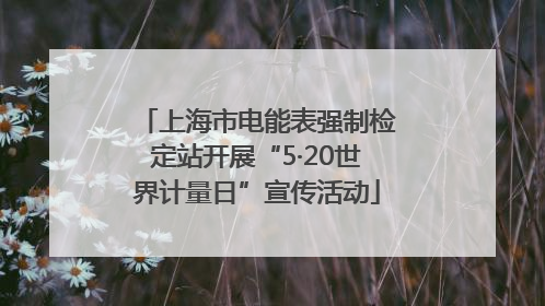 上海市电能表强制检定站开展“5·20世界计量日”宣传活动