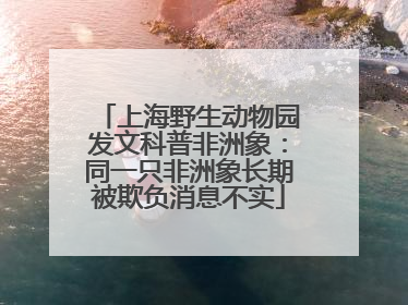 上海野生动物园发文科普非洲象：同一只非洲象长期被欺负消息不实
