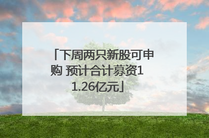 下周两只新股可申购 预计合计募资11.26亿元