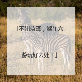 不出菏泽，端午六一游玩好去处！