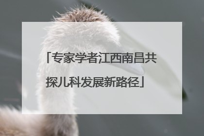 专家学者江西南昌共探儿科发展新路径