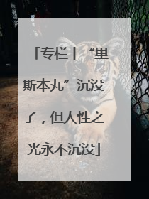 专栏丨“里斯本丸”沉没了，但人性之光永不沉没