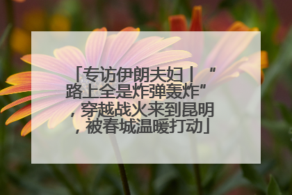 专访伊朗夫妇丨“路上全是炸弹轰炸”，穿越战火来到昆明，被春城温暖打动
