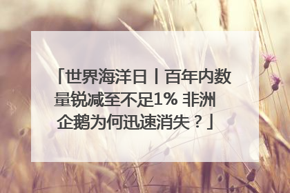世界海洋日丨百年内数量锐减至不足1% 非洲企鹅为何迅速消失？