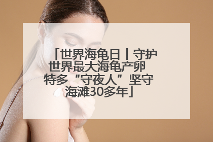 世界海龟日丨守护世界最大海龟产卵 特多“守夜人”坚守海滩30多年
