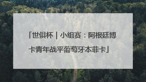 世俱杯｜小组赛：阿根廷博卡青年战平葡萄牙本菲卡