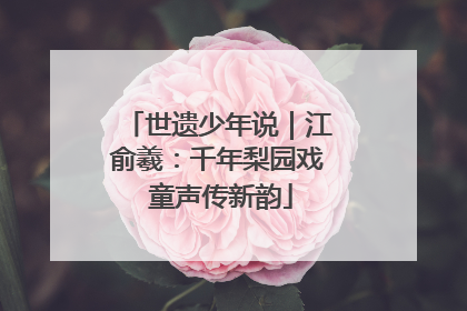 世遗少年说｜江俞羲：千年梨园戏 童声传新韵