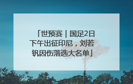 世预赛｜国足2日下午出征印尼，刘若钒因伤落选大名单