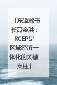 东盟秘书长高金洪：RCEP是区域经济一体化的关键支柱