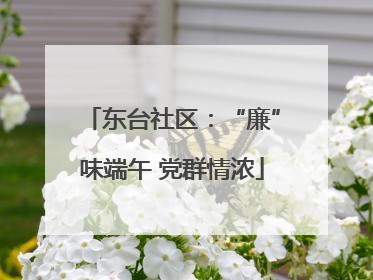 东台社区：“廉”味端午 党群情浓