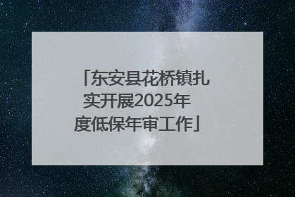 东安县花桥镇扎实开展2025年度低保年审工作