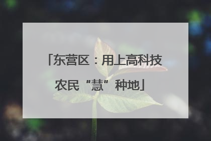 东营区：用上高科技 农民“慧”种地