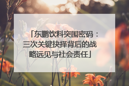 东鹏饮料突围密码：三次关键抉择背后的战略远见与社会责任