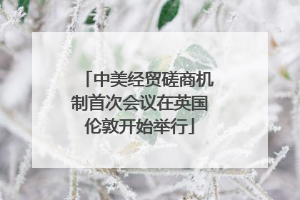 中美经贸磋商机制首次会议在英国伦敦开始举行