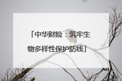 中华财险：筑牢生物多样性保护防线