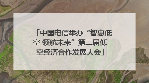 中国电信举办“智惠低空 领航未来”第二届低空经济合作发展大会